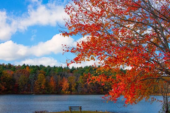 Fall foliage in New England.